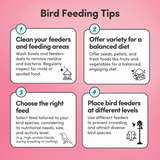 Pet Bird Plus