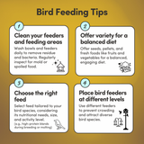 Canary Cuisine