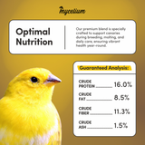 Canary Cuisine