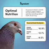 Pigeon Protein