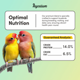 Lovebird Feed