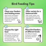 Parakeet Feed