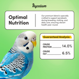 Parakeet Feed