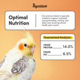 Cockatiel Feed