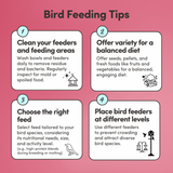 Pet Bird Feed