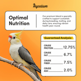 Cockatiel Cuisine