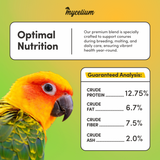 Conure Cuisine