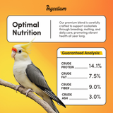 Cockatiel Premier