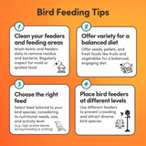 Finch & Sparrow Feed