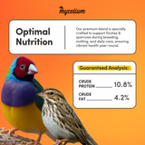 Finch & Sparrow Feed
