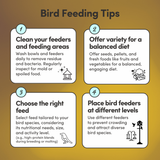 Wild Bird Feed