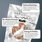 Dove Feed