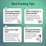 Pigeon Feed