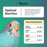 Parakeet Superfood