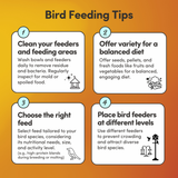 Large Parrot Feed