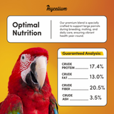 Large Parrot Feed