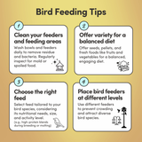 Cockatoo Feed
