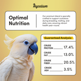 Cockatoo Feed