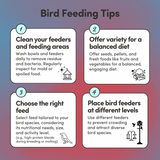 Macaw Feed