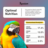 Macaw Feed
