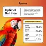 Large Parrot Plus