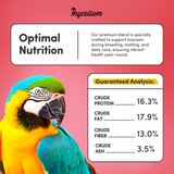 Macaw Plus