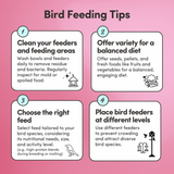 Pet Bird Premier