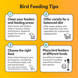 Small Parrot Feed
