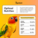Small Parrot Feed