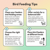 Lovebird Superfood