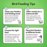 Conure Feed