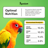 Conure Feed