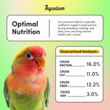 Small Parrot Plus