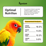 Conure Plus