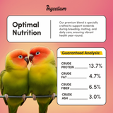 Lovebird Plus