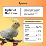 Cockatiel Plus