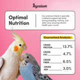 Pet Bird Superfood