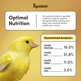 Canary Plus