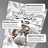 Dove Plus