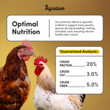 Poultry Super Flock