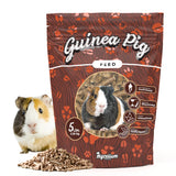 Guinea Pig