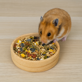 Hamster