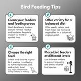 Crow & Raven Feed