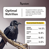 Crow & Raven Plus