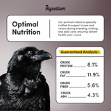 Crow & Raven Treat