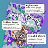 Pigeon Racing Plus
