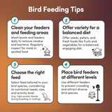 Rooster Feed