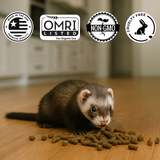 Ferret