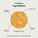 Organic Corn Kernels