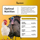 Organic Corn Kernels